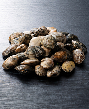Asian Clam